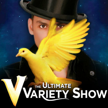 A Review of V: The Ultimate Variety Show at Planet Hollywood Resort and Casino