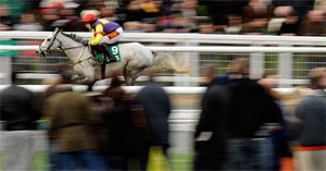 Cheltenham World Hurdle 2011 Potential Winners