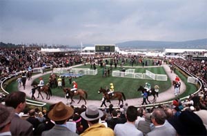 The History of Cheltenham National Hunt Festival