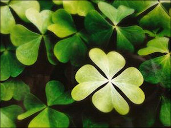 7 Ways to Make your own luck!